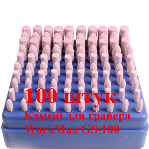 Упаковка шлифовальных головок WorkMan GS-100 (100 шт.)