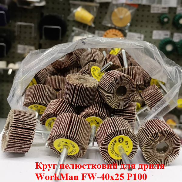 Круг пелюстковий для дриля WorkMan FW-40х25 P100