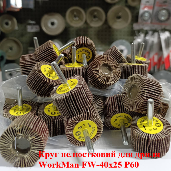Круг пелюстковий для дриля WorkMan FW-40х25 P60