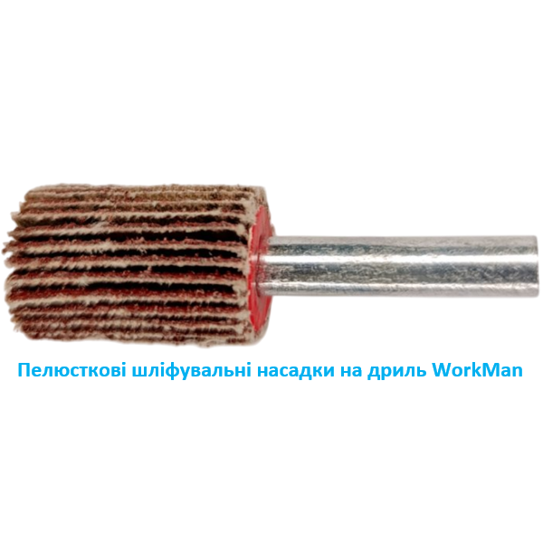 Пелюсткова насадка на дриль WorkMan FW-16х25 P80