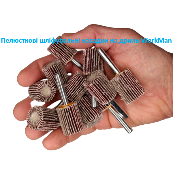 Пелюсткова насадка на дриль WorkMan FW-20х25 P80
