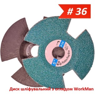Диск шлифовальный с обзором WorkMan Vision 125мм P36