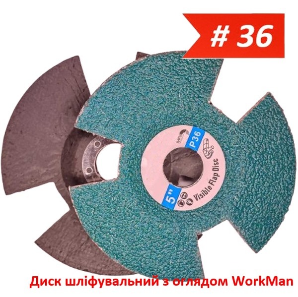 Диск шлифовальный с обзором WorkMan Vision 125мм P36