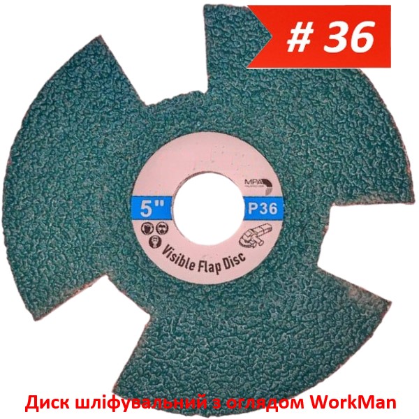 Диск шлифовальный с обзором WorkMan Vision 125мм P36