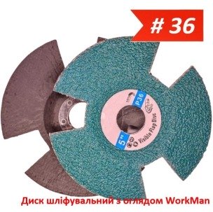 Диск шліфувальний з оглядом WorkMan Vision 125мм P36